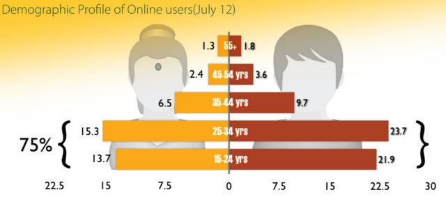 Indian Ecommerce Website Audience