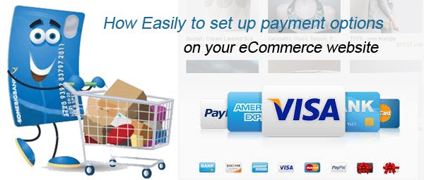 payment ecommerce